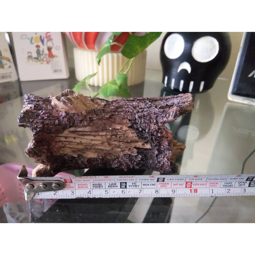 Khúc cây trang trí chữ I cho hồ thuỷ sinh, bò sát