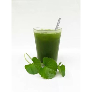 Bột rau má nguyên chất