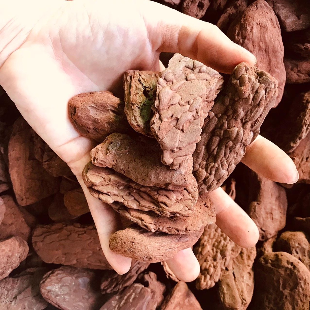 Vỏ thông các size lớn dành cho kiểng lá, gói 1kg  Chuyên Đỗ Shop