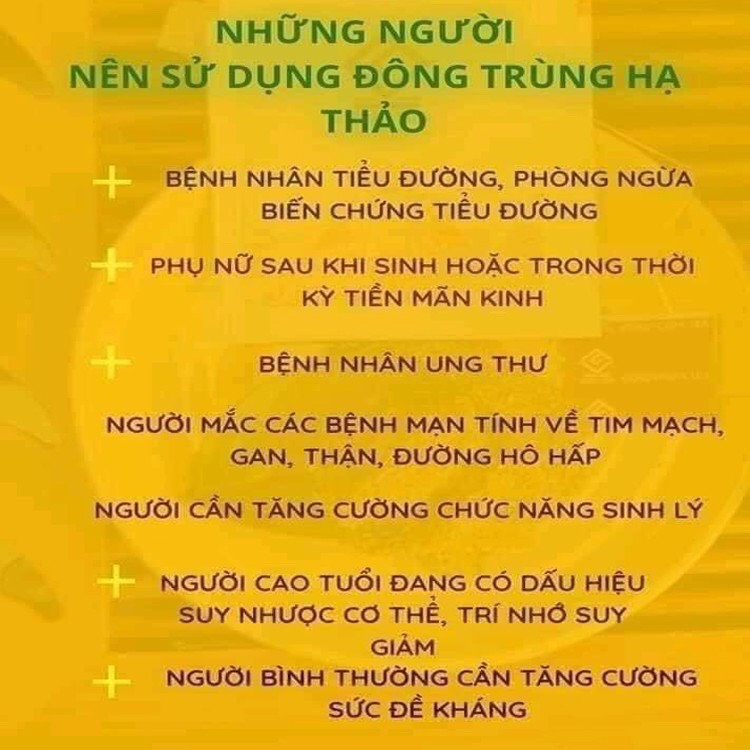 HŨ 50GR Nấm Đông Trùng Hạ Thảo Huy Cương Sấy Thăng Hoa Hàng Cao Cấp