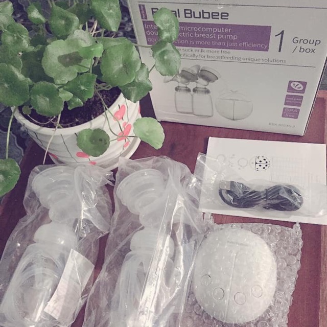 Máy hút sữa điện đôi Real Bubee
