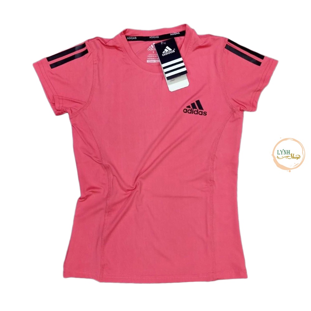 Áo thể thao nữ, áo thun nữ vải Trơn thun lạnh cao cấp, mềm mịn, nhiều màu hợp thời trang, size M L XL 2XL