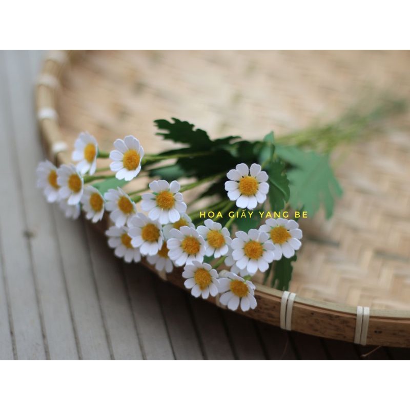 Hoa Cúc Tana, hoa giả decor trang trí cực xinh