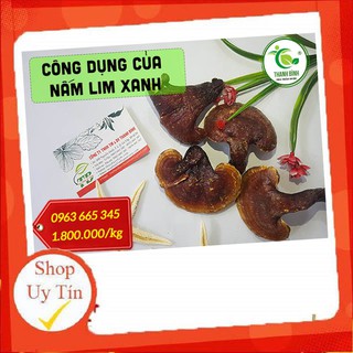 Nấm Lim Xanh Rừng 100% Tự Nhiên 100gr