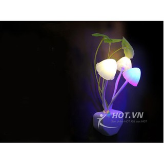 ĐÈN NGỦ CẢM ỨNG ĐỔI MÀU AVATAR