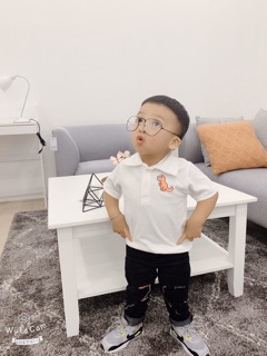 🦖🦖🦖 Áo Thun Cổ Trụ Bé Trai