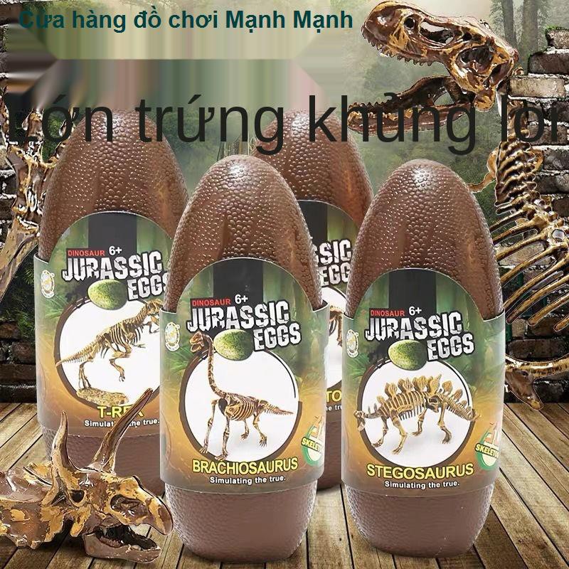 Hóa thạch khủng long trẻ em Mô hình bộ xương Tyrannosaurus rex Sản xuất thủ công DIY của Đồ chơi khai quật khảo cổ học c