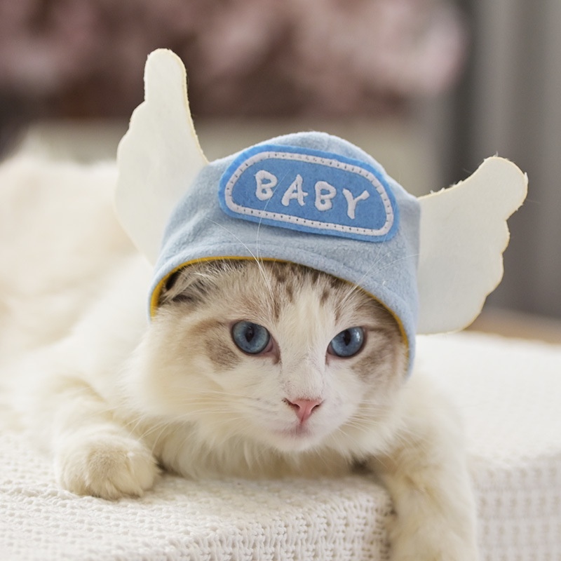 Nón đội hóa trang halloween dễ thương cho thú cưng