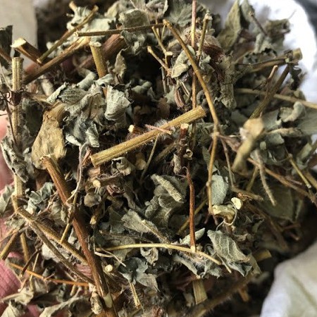 Cây hoắc hương khô thượng hạng JINDO 1kg tác dụng kiện tỳ vị, hỗ trợ điều tr_ị khó tiêu, đầy hơi