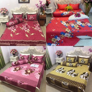Set chăn ga trần bông poly