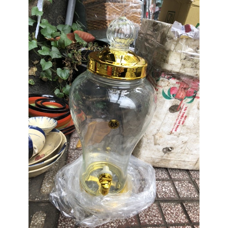 Bình ngâm sâm Việt Nam