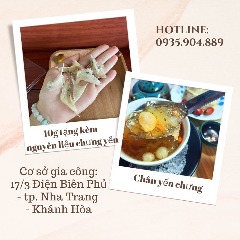 Chân yến thô nguyên chất nở nhiều, dai ngon Tặng Táo đỏ, Đường phèn, Hạt chia