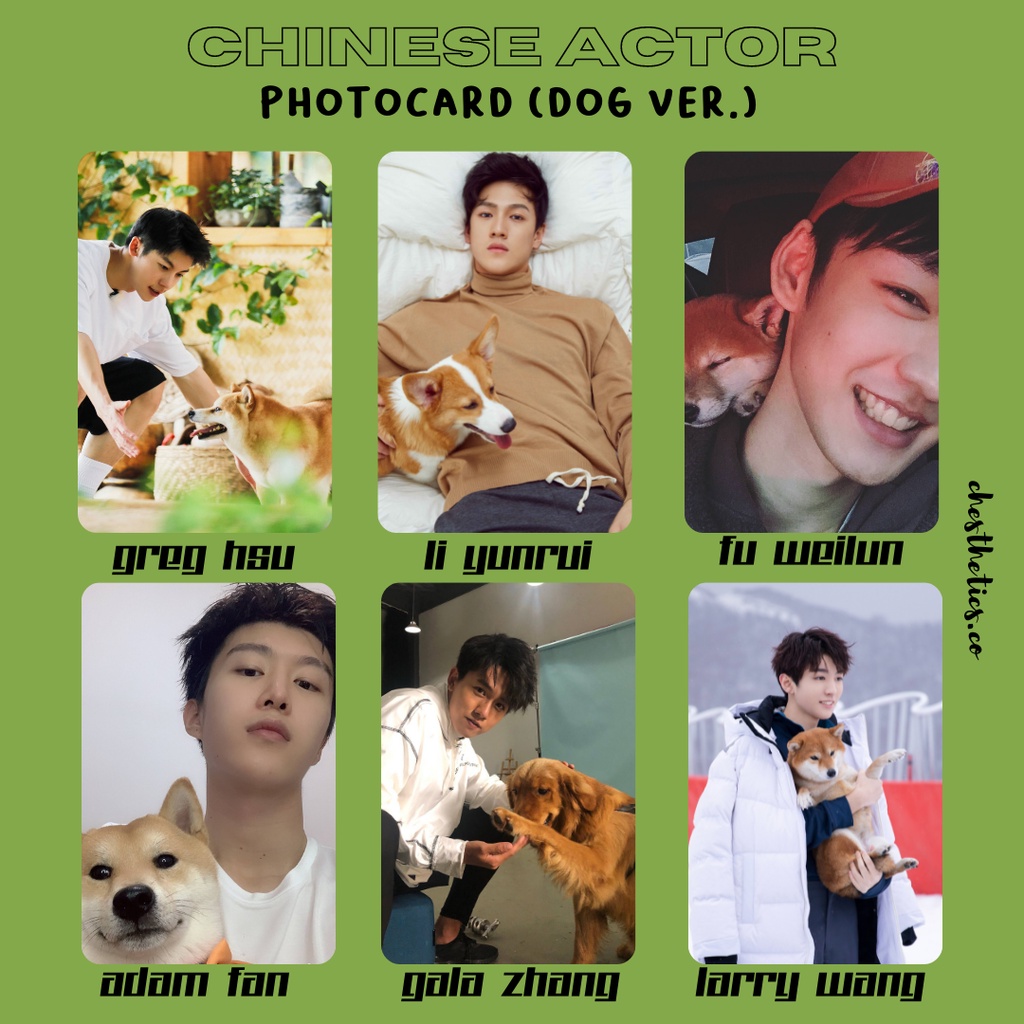 [ CHINA ACTOR ] Ảnh Card Bo Góc Diễn Viên Nam Trung Quốc - Chủ Đề Chụp Ảnh Cùng Cún [ PHOTOCARD ]