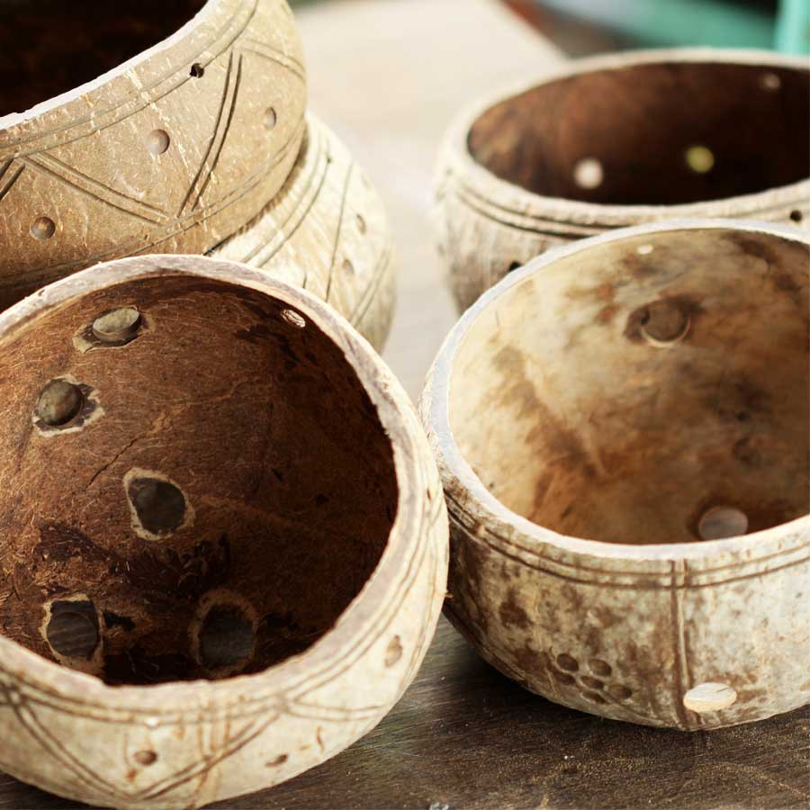 Set mẫu ngẫu nhiên - Gáo dừa thô TRỒNG LAN I CÂY CẢNH