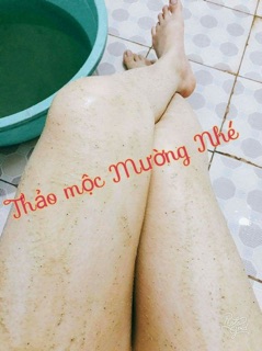 Thảo mộc Tắm Mường Nhé