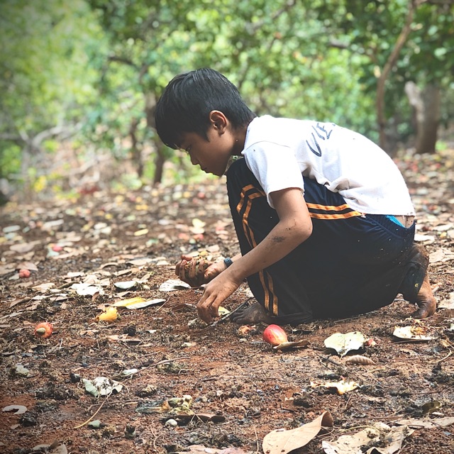 Hạt Điều Nguyễn Tuấn