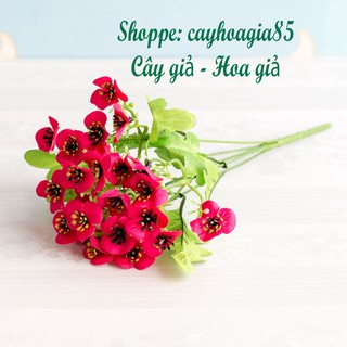 Hoa giả - Cành hoa cánh bướm