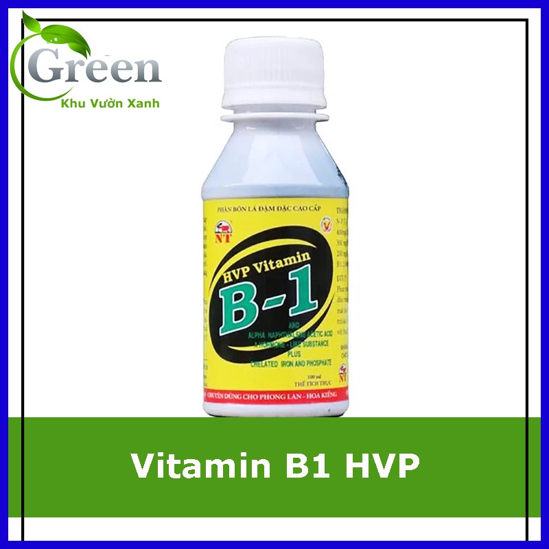 Phân bón lá đậm đặc cao cấp Vitamin B1 HVP - 100ml/chai