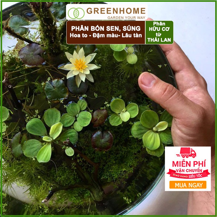 Phân bón hoa Sen, vỉ 14 viên, cây thuỷ sinh, ngập nước, cho hoa to, hoa đậm màu, lâu tàn, tốt lá |Greenhome