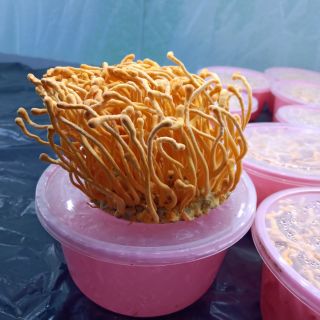 Sale đông trùng hạ thảo tươi mua 3 tặng 1