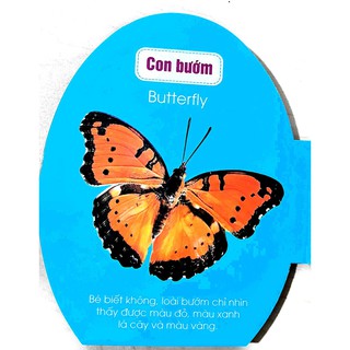 Quả Trứng Đáng Yêu Của Bé - Côn Trùng