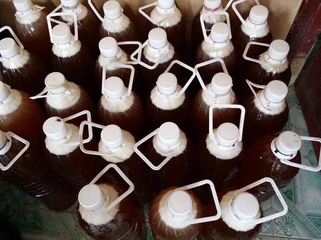 Mật ong rừng Tây Bắc | BigBuy360 - bigbuy360.vn