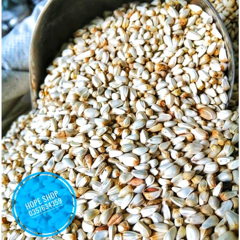 Hạt Kham cho Hamster, Chim, Vẹt...100g