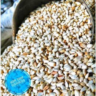 Hạt kham cho hamster, chim, vẹt...100g