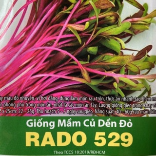 Combo 3 gói hạt giống rau mầm củ dền đỏ_ Gói 10gr