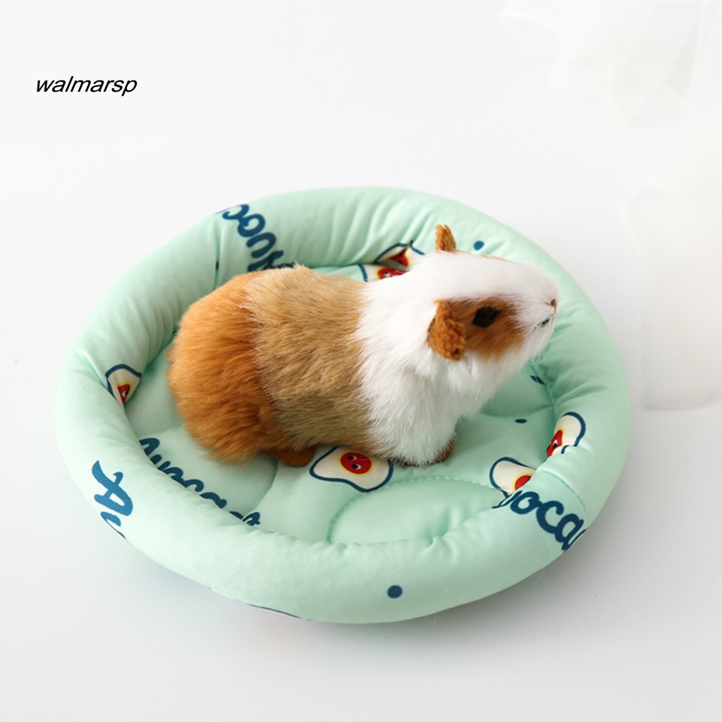 Chăn Đắp Mềm Mại Siêu Nhẹ Dành Cho Chuột Hamster Vào Mùa Hè