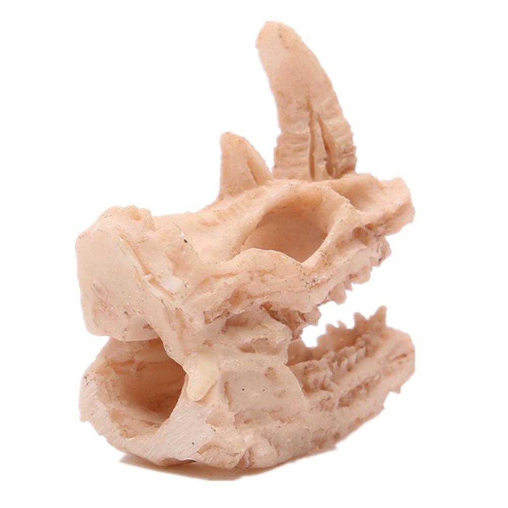 Đồ Trang Trí Bể Cá Hình Khủng Long, Cừu, Đầu Lâu Tê Giác