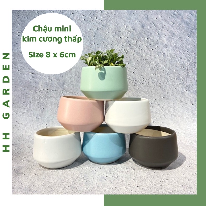 Chậu mini hình kim cương thấp 8x6cm, chậu trồng cây sen đá xương rồng