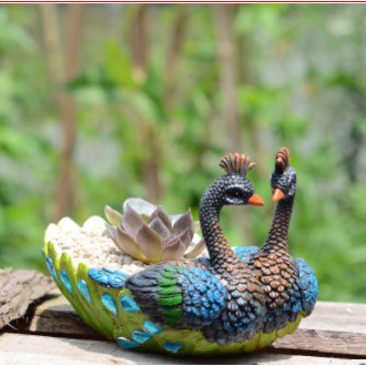 Chậu trồng cây mini hình chim công