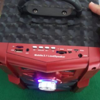 Loa bluetooth NTC RX301/RX302
