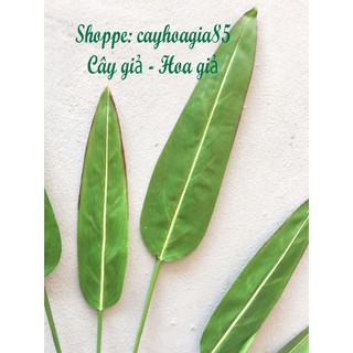 Cây giả _ Cây lá Rong