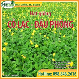 Hạt Giống Cỏ Lạc – gói 50 hạt - Cỏ Đậu Phộng - Cỏ Thảm Cảnh - Cỏ Công Trình