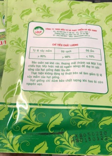 Hạt giống Cải mơ Hoàng Mai 🍀