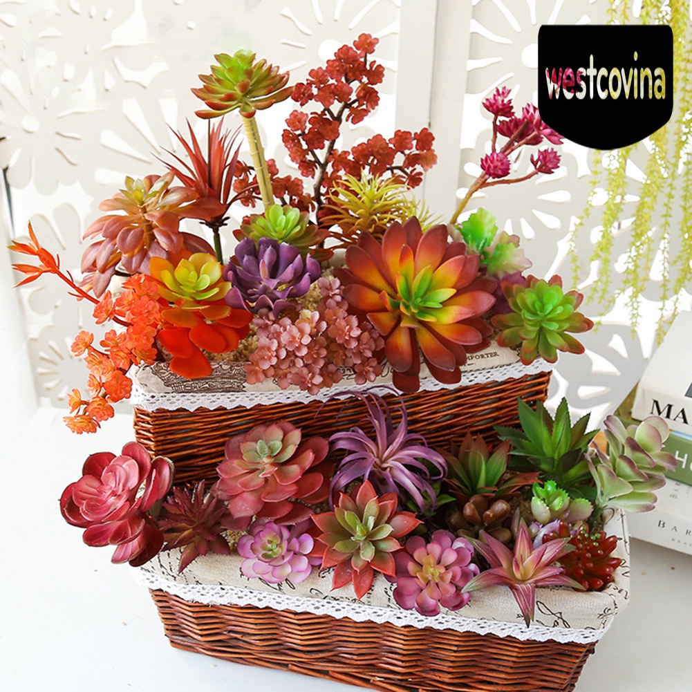 [Hot]☀ 1 Cây Mọng Nước Nhân Tạo Nhiều Màu Sắc Dùng Trong Trang Trí