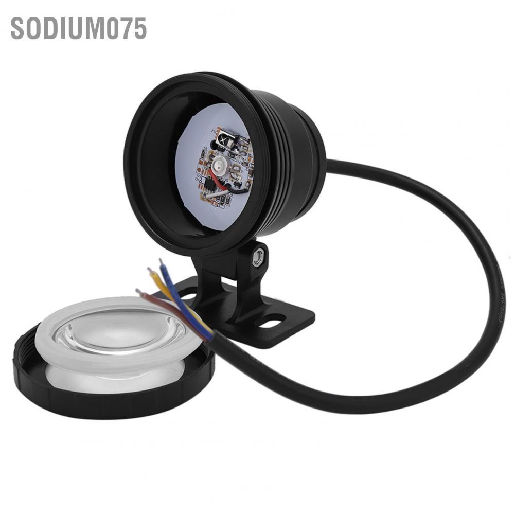 Có thể bán buôn Đèn LED chiếu sáng ngoài trời chống thấm nước 5W RGB sân vườn với bộ điều khiển từ xa 110V-240V Hàng giao ngay
