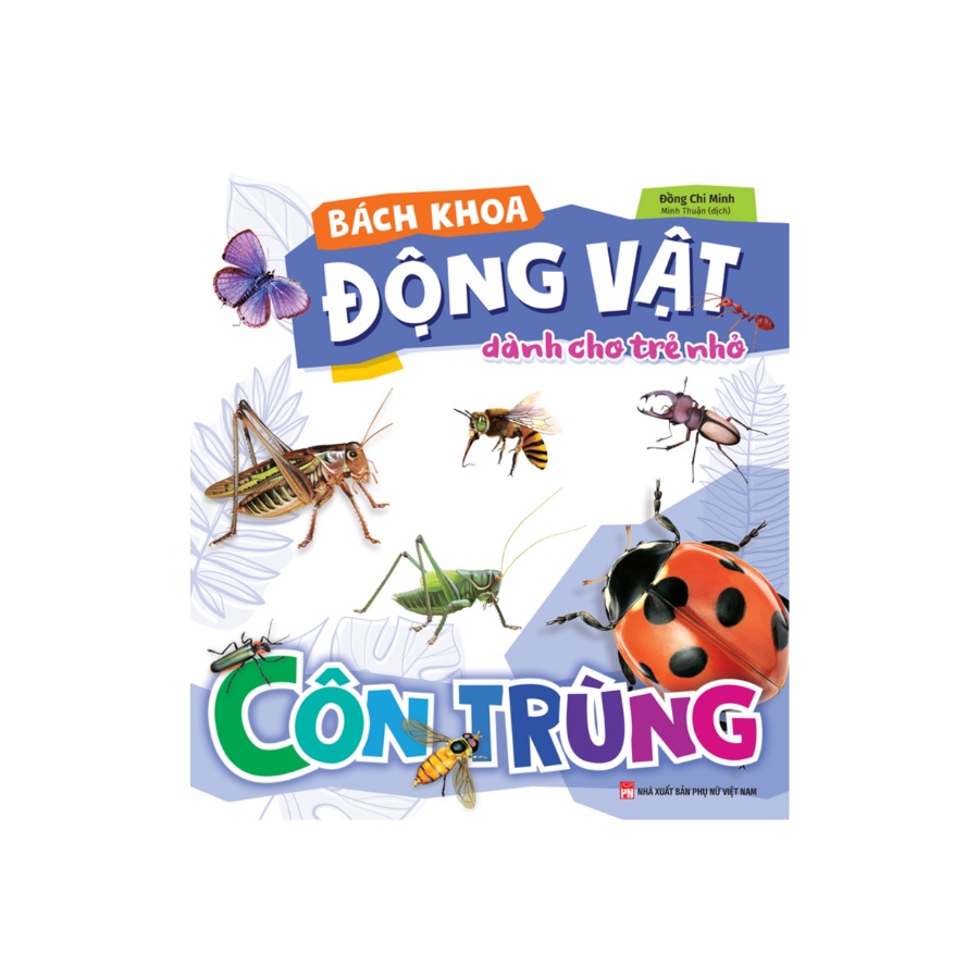 Sách - Bách Khoa Động Vật Dành Cho Trẻ Nhỏ Côn Trùng