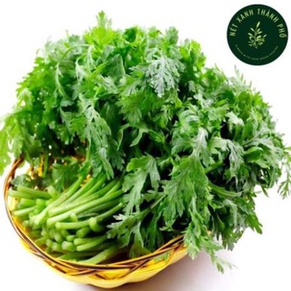 Hạt giống rau Tần Ô, Rau Cúc tẻ
