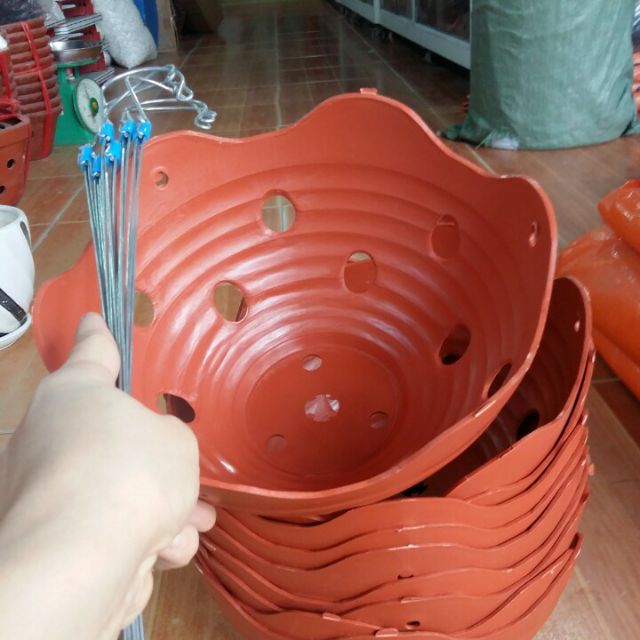 Chậu trồng lan kèm quai 23cm x12cm