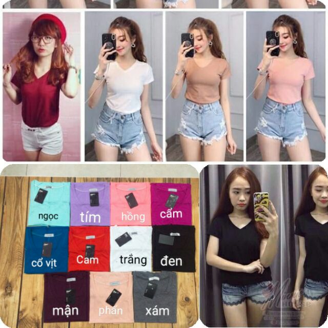 COMBO 11 áo phông cổ Tim