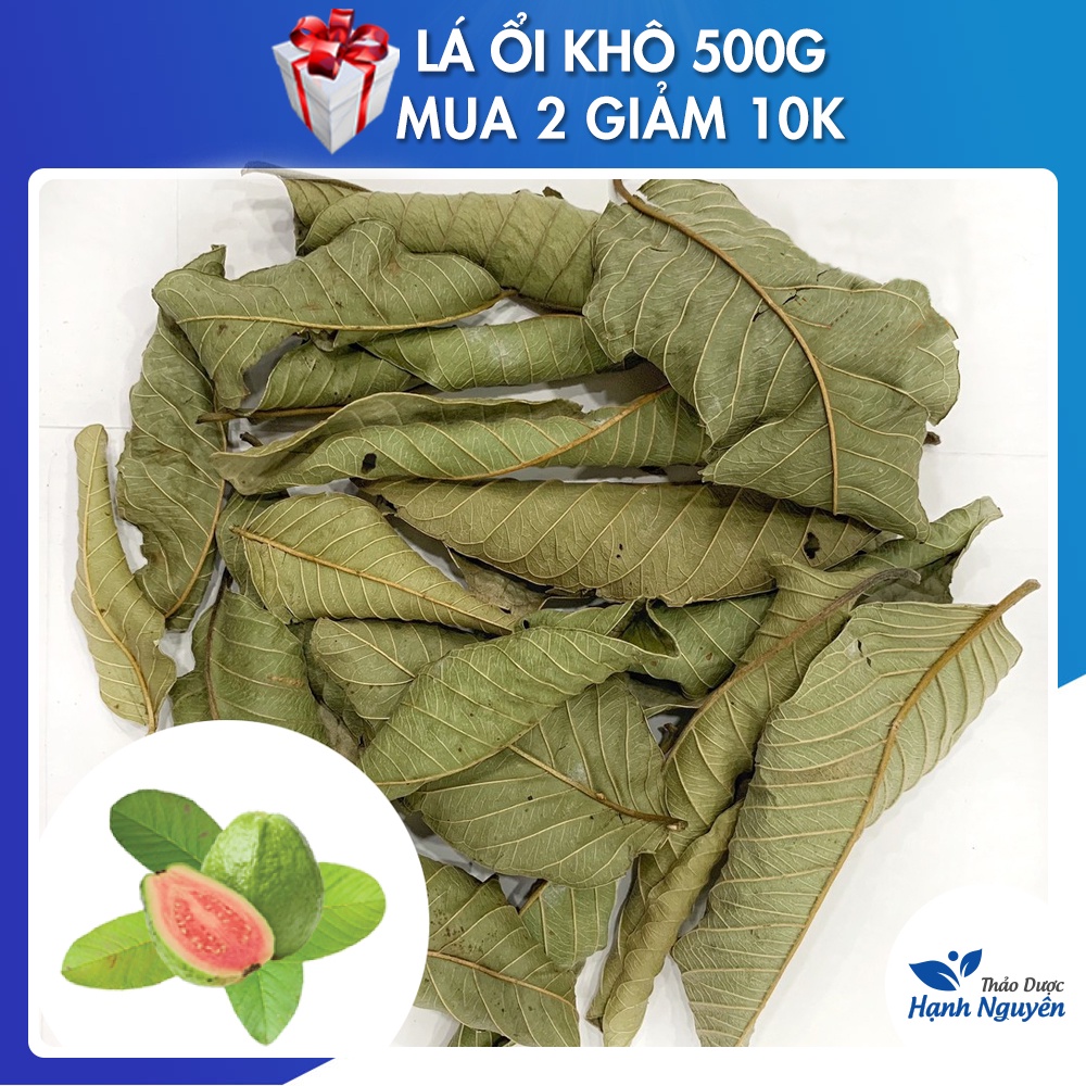 Lá ổi khô giảm cân 500g (Đọt ổi khô, lá ổi non, trà ổi giảm cân) - Thảo Dược Hạnh Nguyên