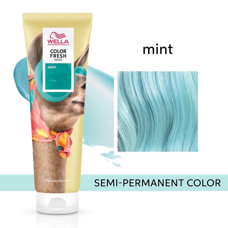 Mặt Nạ Dưỡng Bổ Sung Hạt Màu Wella Color Fresh Mask (MINT) chiết 30 ml