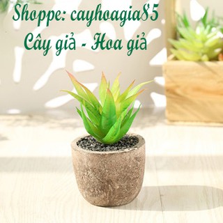 Cây giả - Chậu Sen đá (cả cây và chậu)
