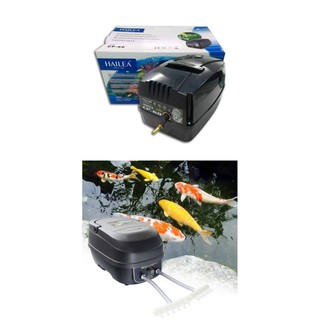 Máy Sủi Khí Oxy Tích Điện Hailea CPA-60 2 vòi