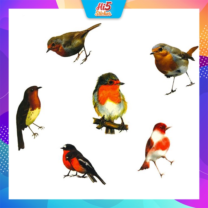 Sticker bộ sưu tập chim Cực COOL ms#247