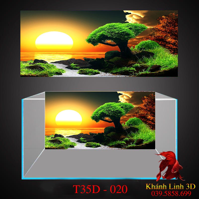 Tranh 3D dán bể cá, tặng kèm đồ dán siêu nét, đa dạng kích thước bể thuỷ sinh