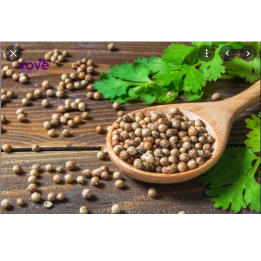 500g Hạt mùi Coriander seed Atlas (chiết từ gói lớn)